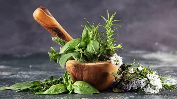 Aromatic Herbs