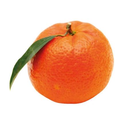 Mandarin