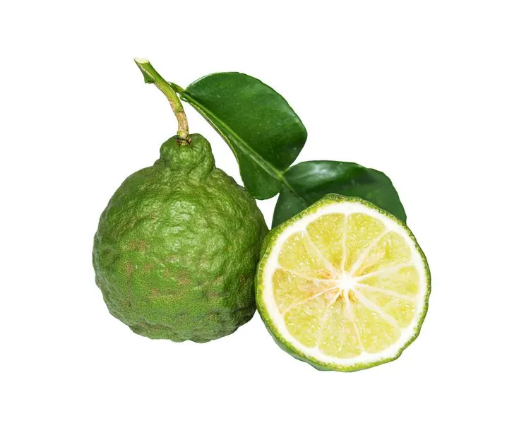 Bergamot